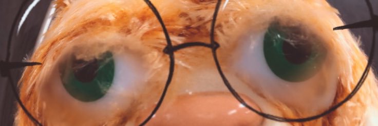 TheHexapuss's profile banner image