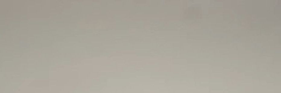 🪿🐈‍⬛ banner
