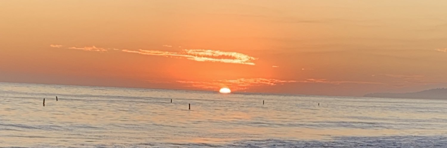 angiedoe369 banner