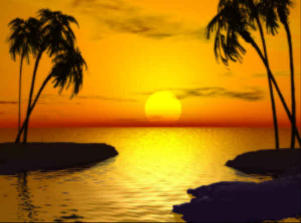 noellew13's profile banner image