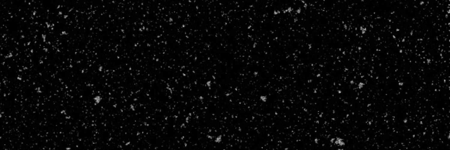 CryptoNerd banner