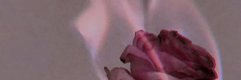 thegingergal's profile banner image