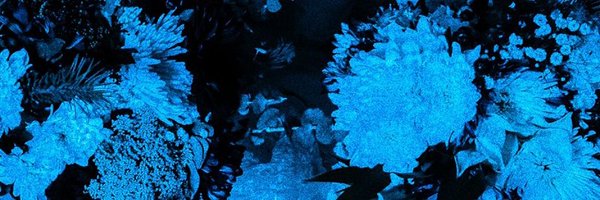 b_sidethrowaway Profile Banner
