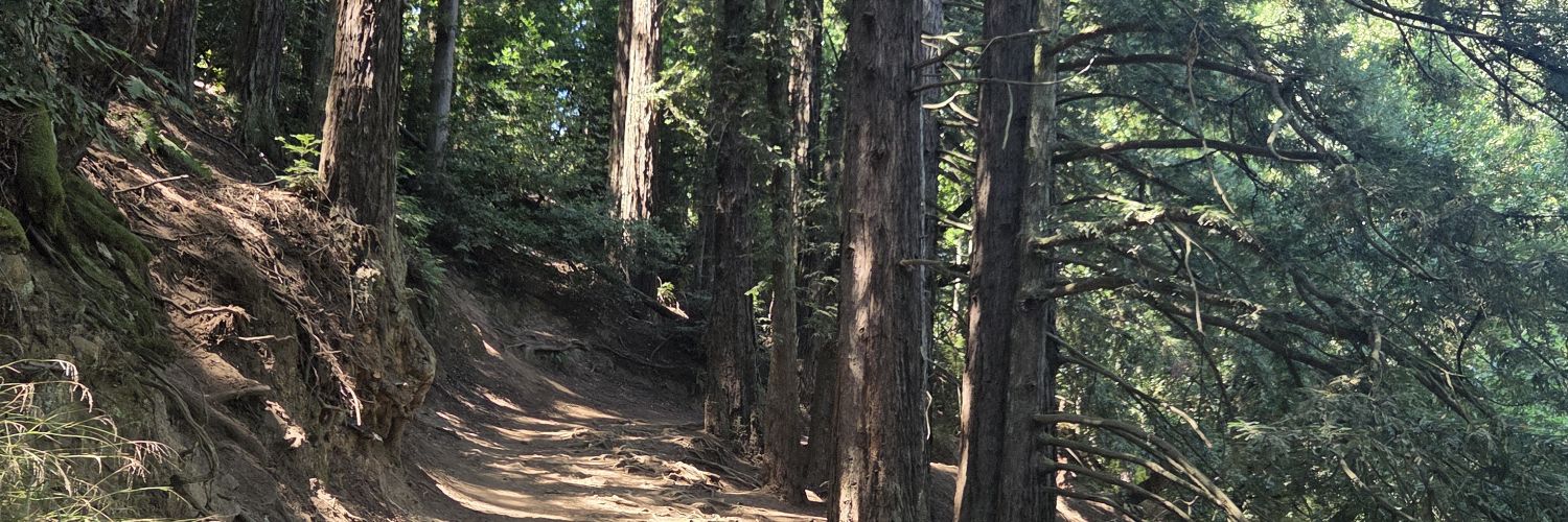 Kyle Ramirez 🇺🇸🇯🇵 banner