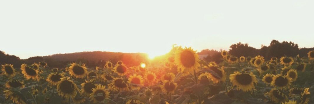 cameronkeys_'s profile banner image