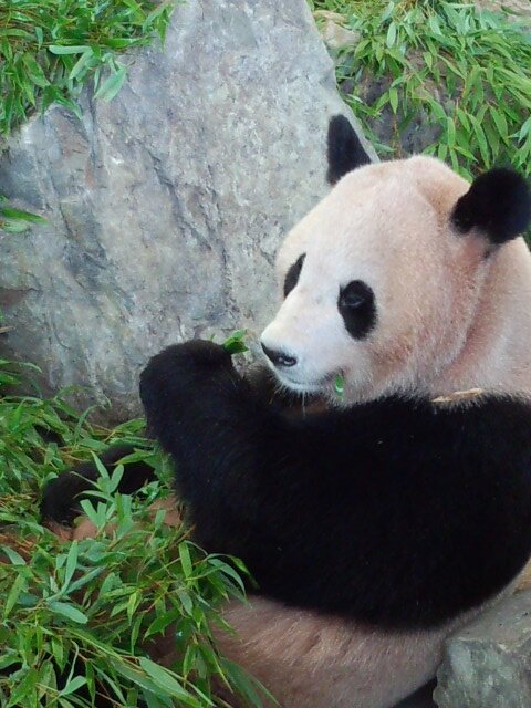 taizo2580's profile banner image