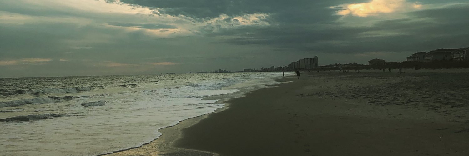 LeslieDicken's profile banner image