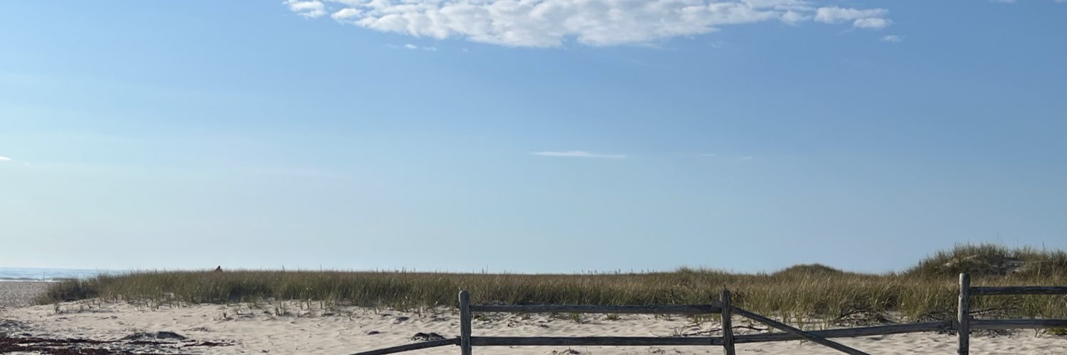 satan’s niece banner
