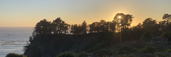 RaquelMDillon Profile Banner