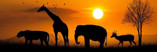 techieojo Profile Banner