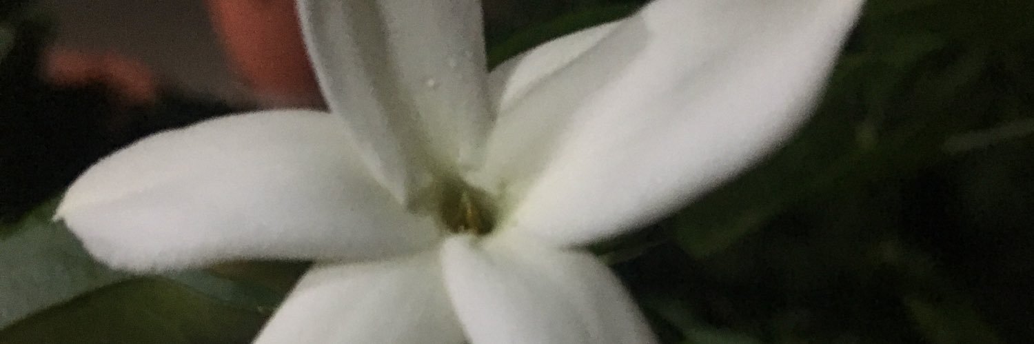 FarhanUnknown's profile banner image