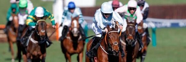 theracehorseguy Profile Banner