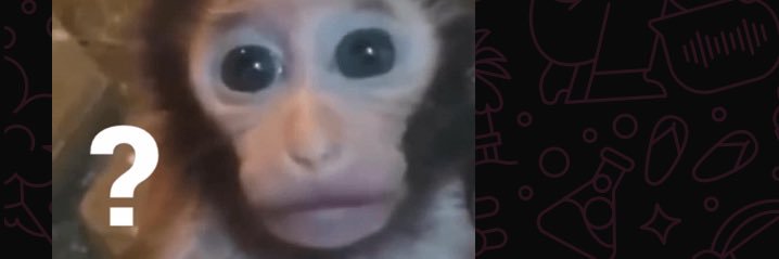 nahircardenas's profile banner image