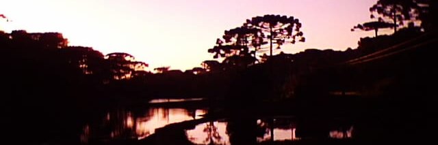 meuparedro's profile banner image