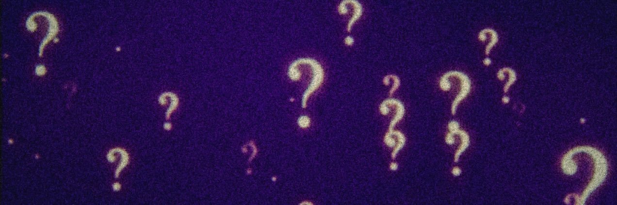 Who is Big Yellow?¿?🐝💛🖤💛 banner