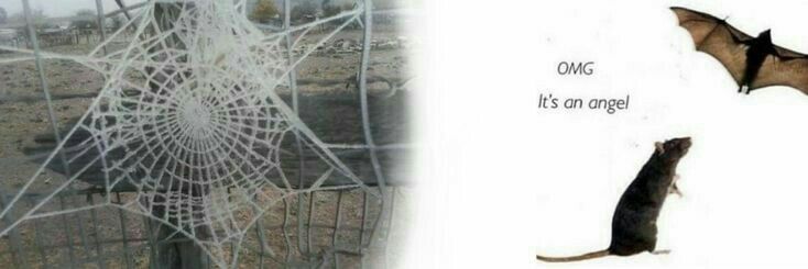 ؘt banner