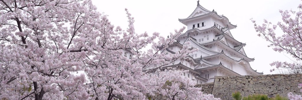 akira_chiu's profile banner image
