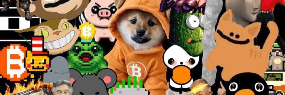 Foster the $DOG 💜 Kraken 🐙's banner