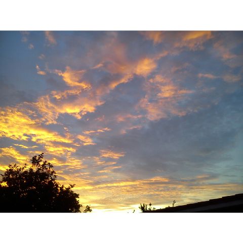 Luisana Prada banner