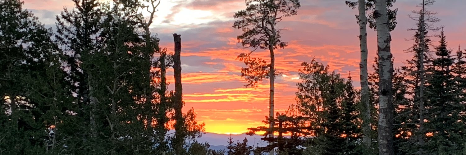 Edward Domain ☀️ banner