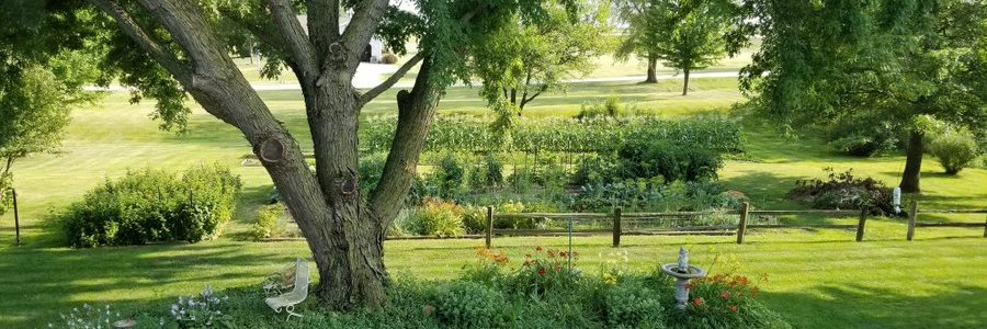 The Mustachioed James banner