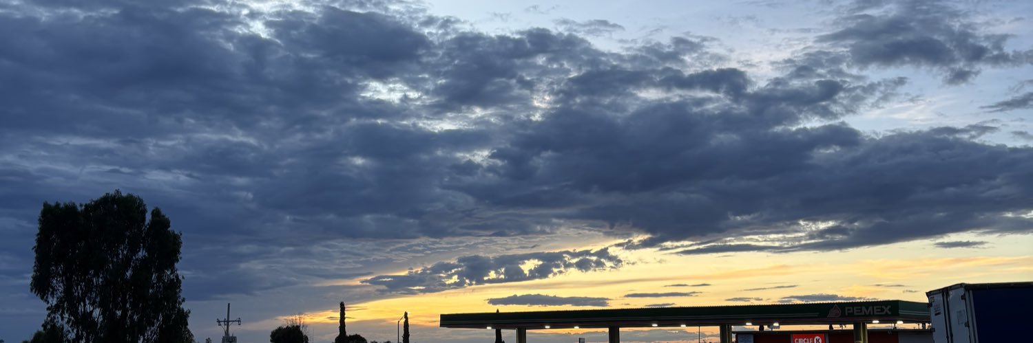 samifloreees's profile banner image