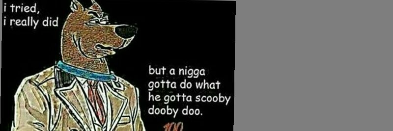 Nathan Daley banner