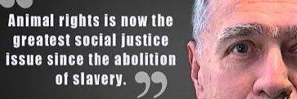 minsquish Profile Banner