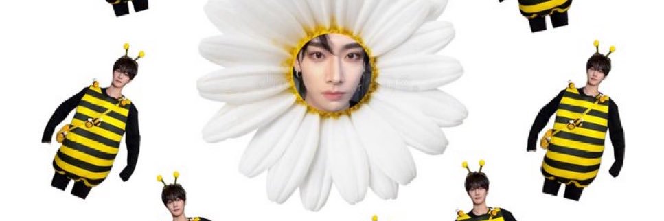 diaaa || semi ia banner