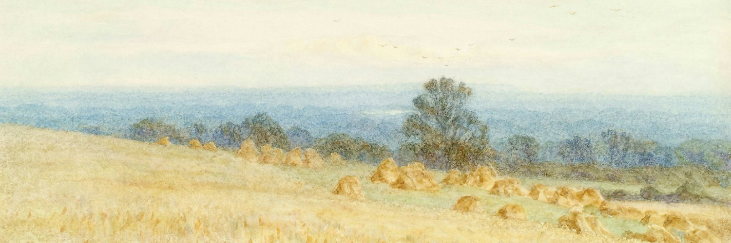 sny_005's profile banner image