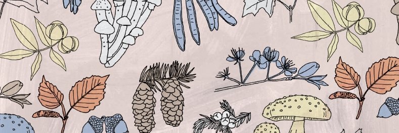 TheSouppub's profile banner image