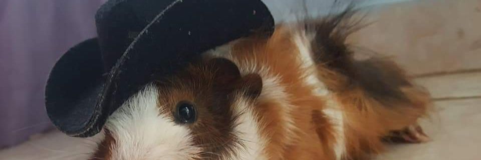 Bayo_rar's profile banner image