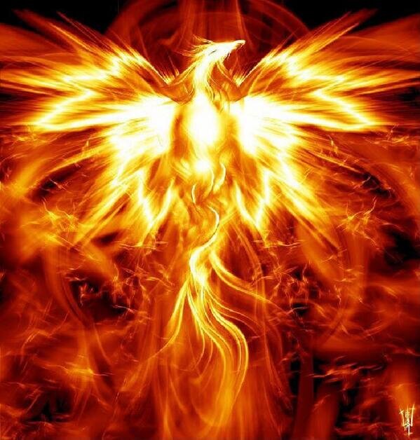 DPhoenix38's profile banner image