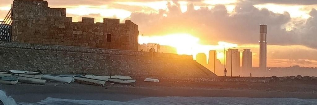 Ali la Pointe 🇩🇿 banner