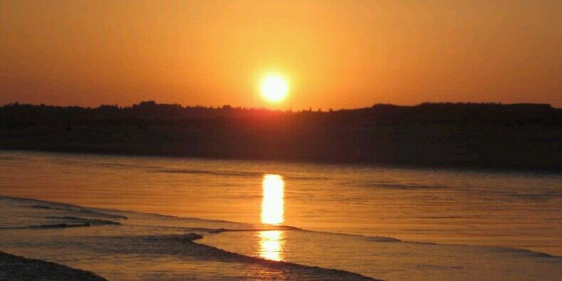 dani hernandez banner