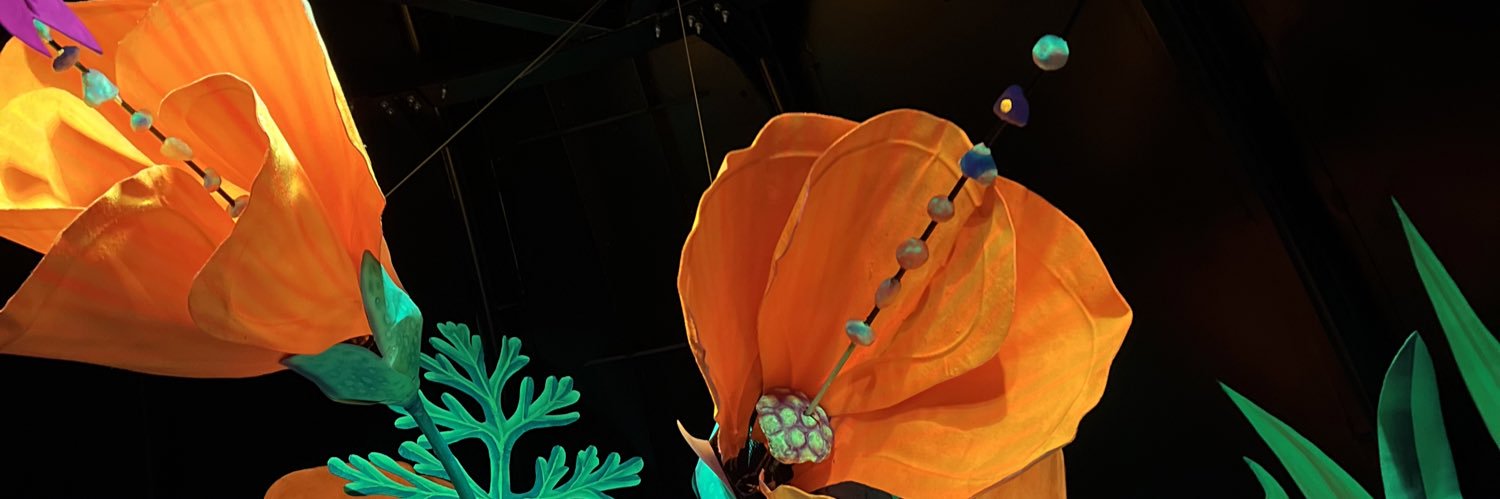 Looking for truth banner