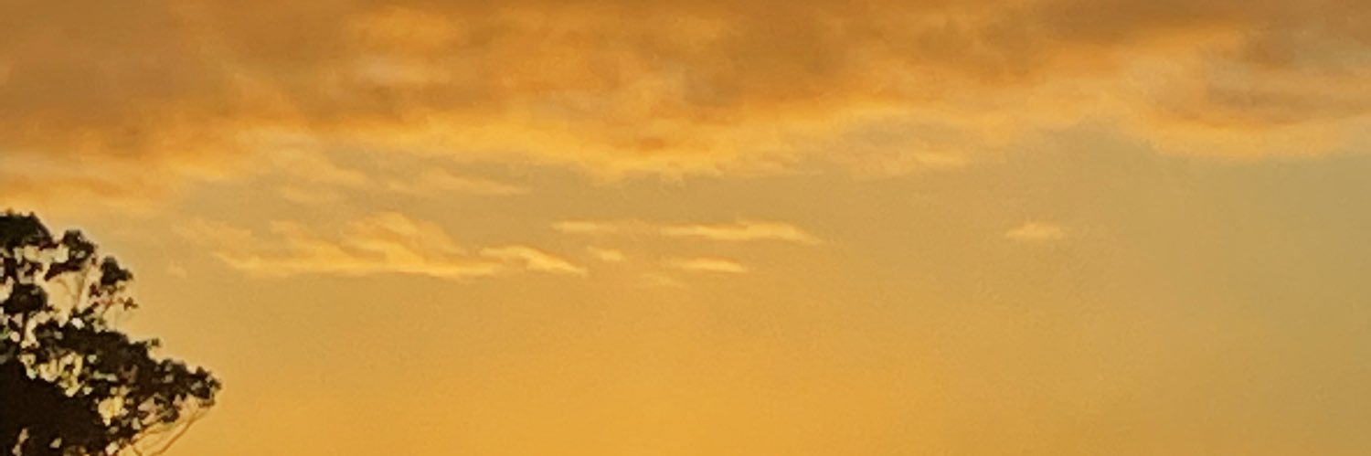 angeltron5100's profile banner image