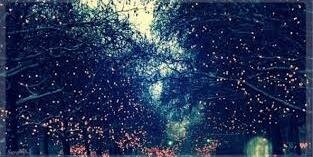NadaaOmar's profile banner image