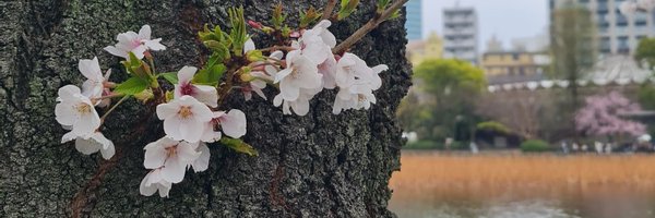 s_ullr Profile Banner