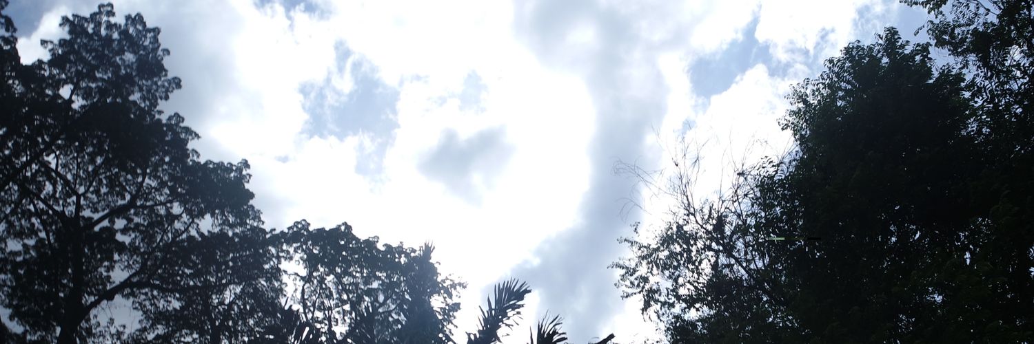 dasemit's profile banner image