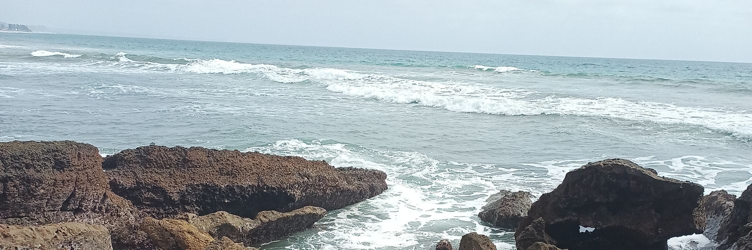 Alenis5's profile banner image
