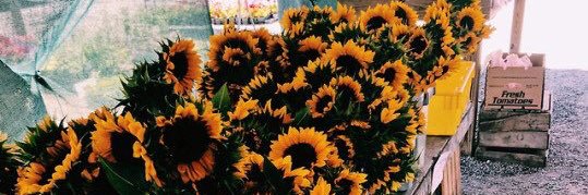 _miaahhraee's profile banner image