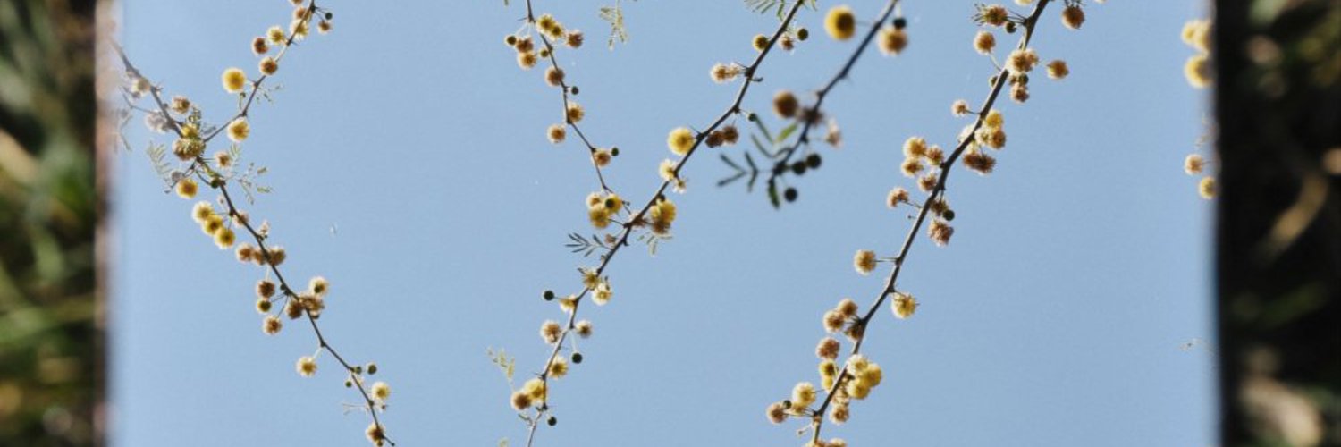 haleyhumber's profile banner image