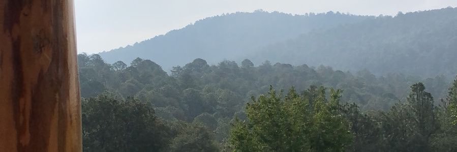 KalyRdz's profile banner image