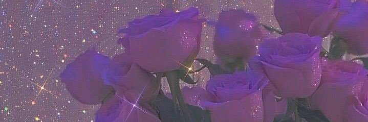 selaveyours's profile banner image