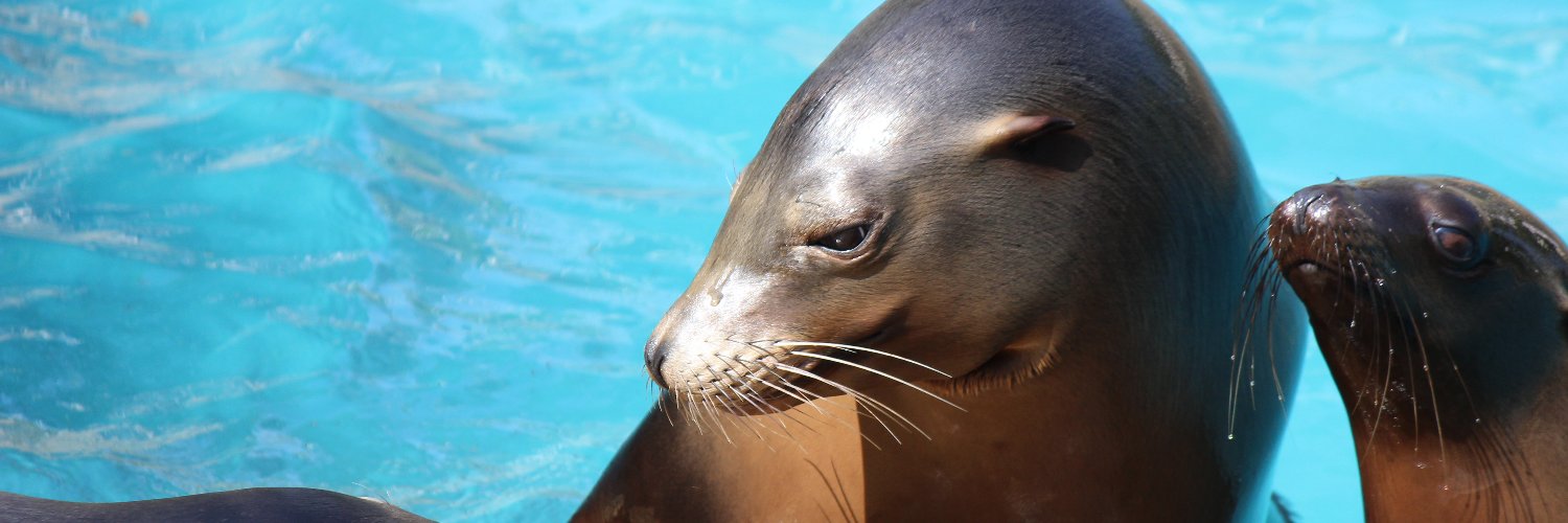 ヴァン＠寿司の暗黒卿 banner