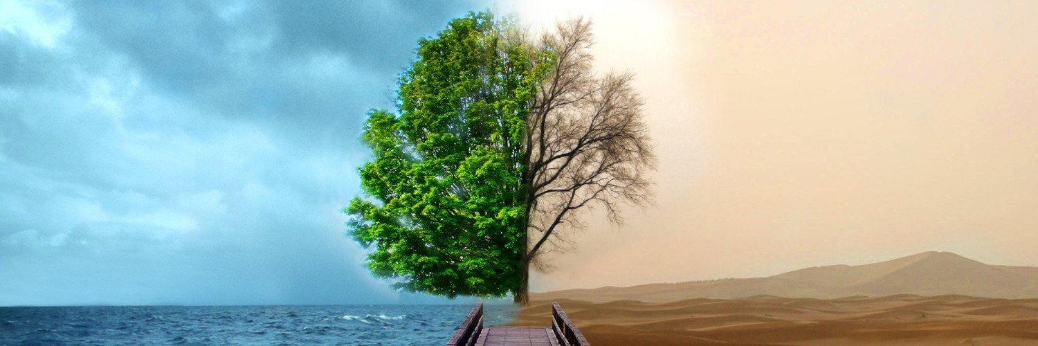 Climate summit2022 banner