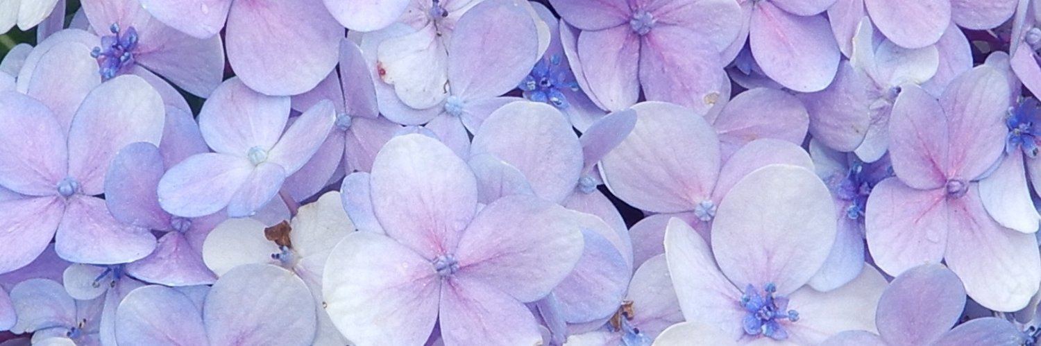 neomutired's profile banner image