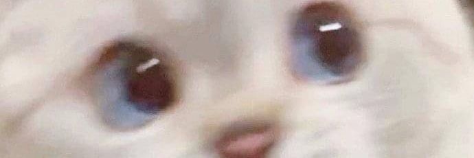 blueberrybubb1e's profile banner image