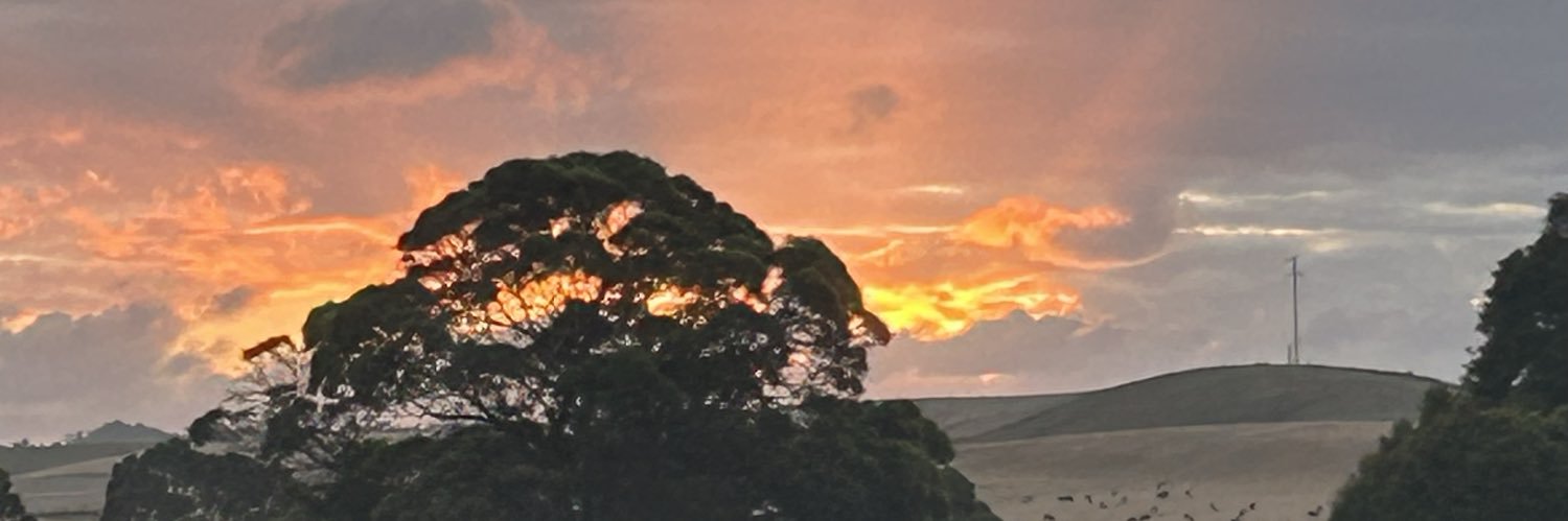 David_Rustage's profile banner image